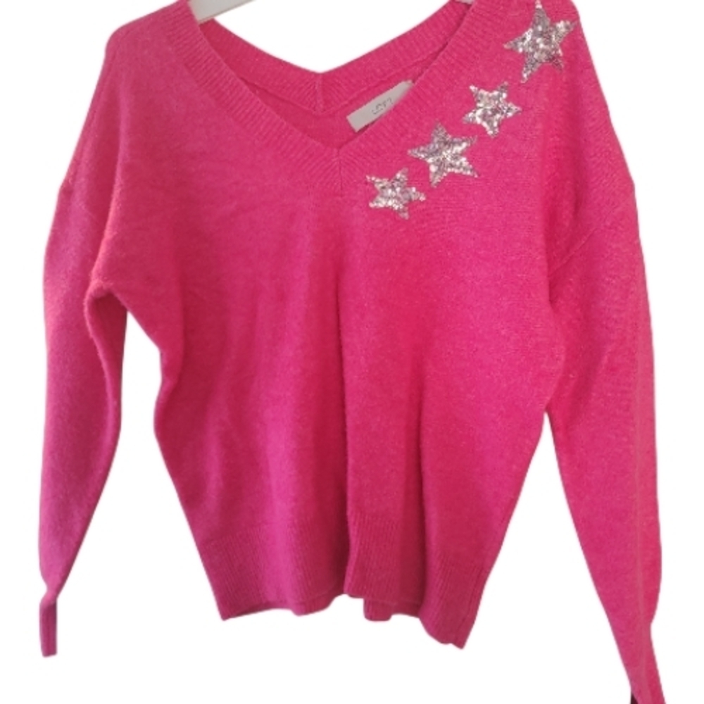 LOFT V-Neck Pink Sweater with Silver Star Details, Size Medium